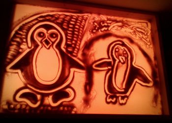 IMG 20171118 1228531